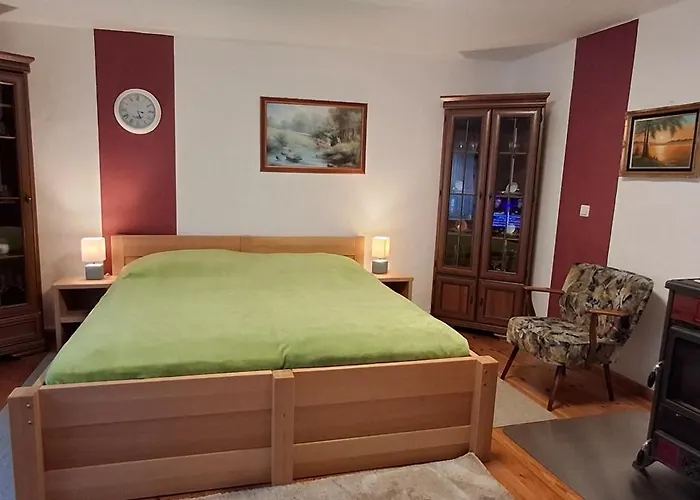 Neukalener Stadthaus Zum Alten Schmied *