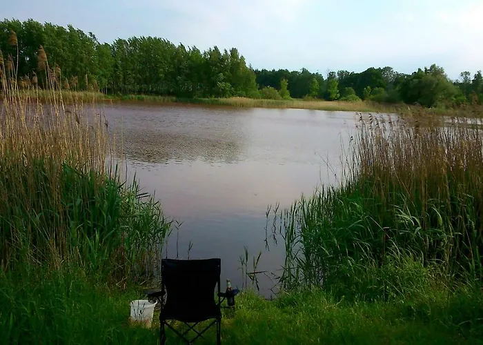 Neukalener Stadthaus Zum Alten Schmied Ferienhaus